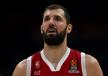 mirotic.jpg