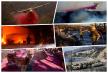 collage1321321.jpg