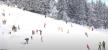 2025-01-14 10_52_49-Window.png