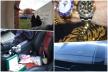 collage1.jpg
