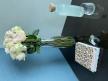 image00003.jpeg