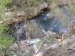IMG-20250417-WA0065.jpg