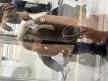 IMG_5245.jpeg