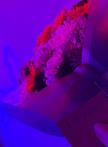 2025-04-23 07_07_14-𝓚𝓲𝓳𝓪 𝓚𝓸𝓬𝓴𝓪𝓻 (@kijakockar) • Фотографије и видео записи на услузи Insta.jpg