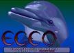 Ecco.jpg