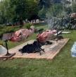 Loznica 4.jpg
