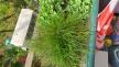 WhatsApp Image 2025-05-15 at 4.09.27 PM.jpeg