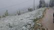 1747377350_prijepolje-sneg-maj-jabuka-fotorina2.jpg