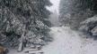 1747377634prijepolje-sneg-maj-kamena-gora-fotorina.jpeg