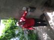 IMG_8187.jpeg