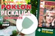 PR_TV Ekran +PECKALICA_DATUM(1).jpg