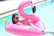 flamingo-pocetna.jpg