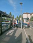 IMG-20250605-WA0024.jpg
