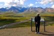 Denali National Park profimedia-0011165900.jpg
