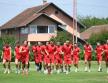 FK Vojvodina