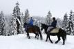 vlasic-sneg-skijanje-planina-bosna.jpg