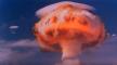 bomba-hidrogenska-bomba.jpg