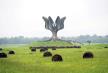 jasenovac.jpg