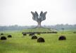 jasenovac-kameni-cvet.jpg