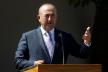 cavusoglu-r-010601.jpg