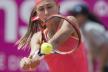 krunic-epa.jpg