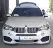 bmw-iz-prekrasaja-12-03-2018-gradina.jpg