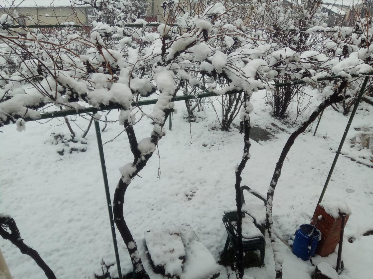 sneg2.jpg