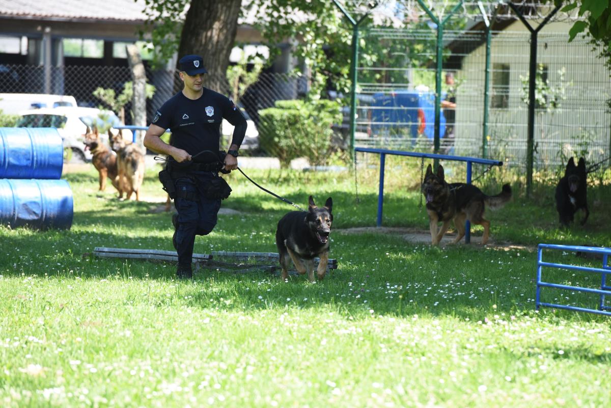 policijski-psi-09-news1-zorana-jevtic.jpg