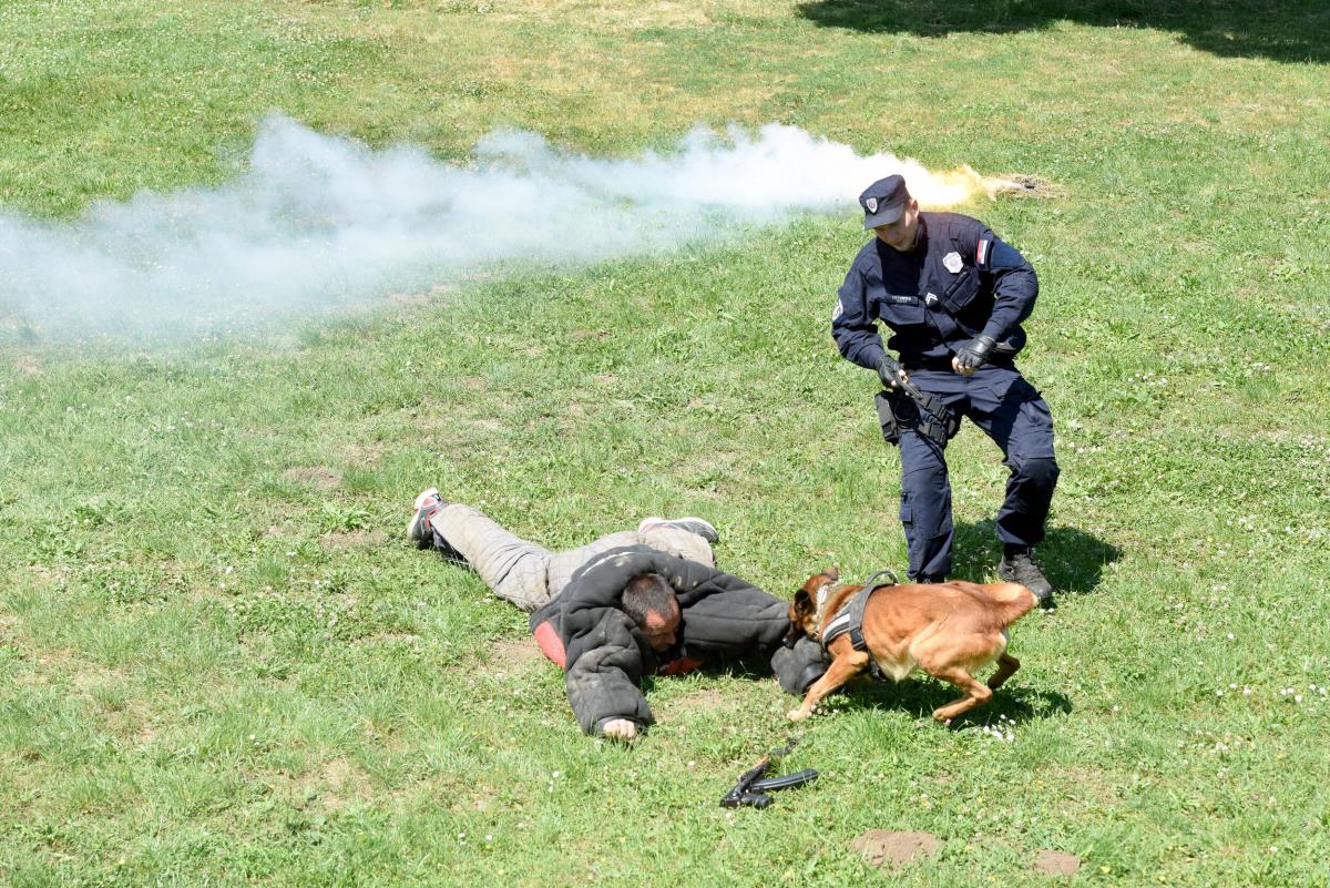 policijski-psi-38-news1-zorana-jevtic.jpg