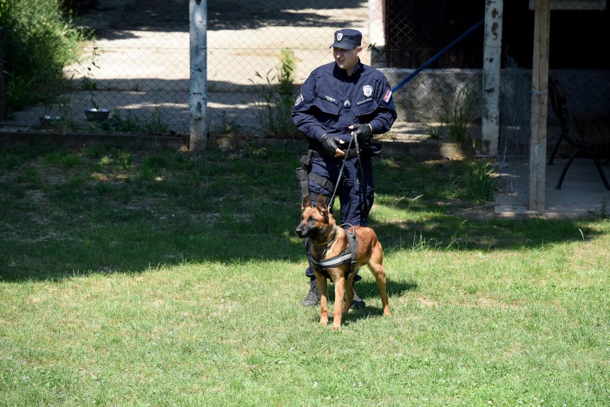 policijski-psi-28-news1-zorana-jevtic.jpg