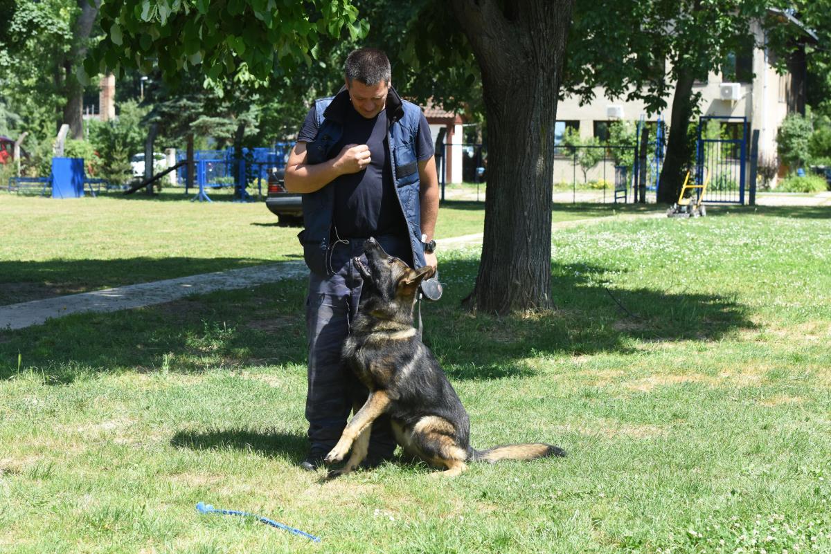 policijski-psi-43-news1-zorana-jevtic.jpg