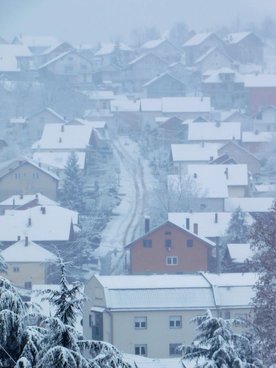 loznica--zima.jpg