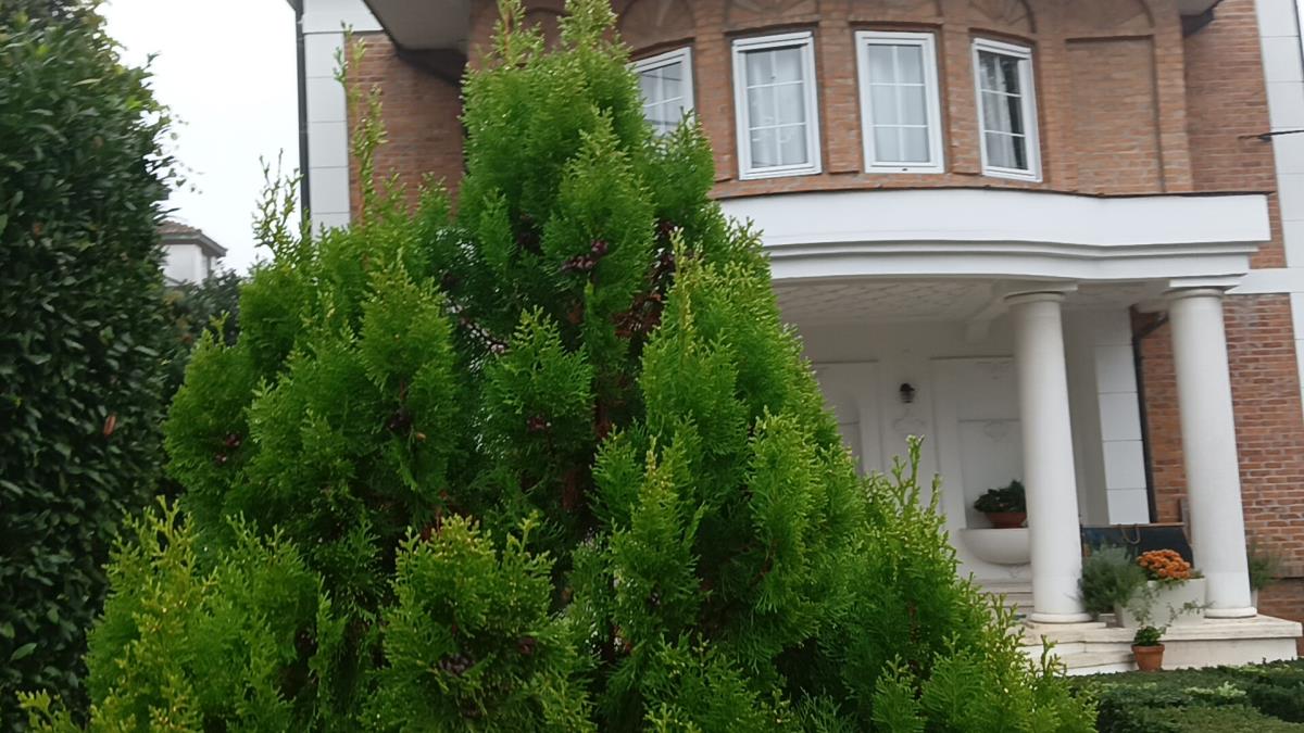 ESTRADA ZGRĆE LOVU OD PRIVATNIH BIZNISA: Hoteli, moteli i kafane, izdavanje luks vila, a on je pravi kralj nekretnina