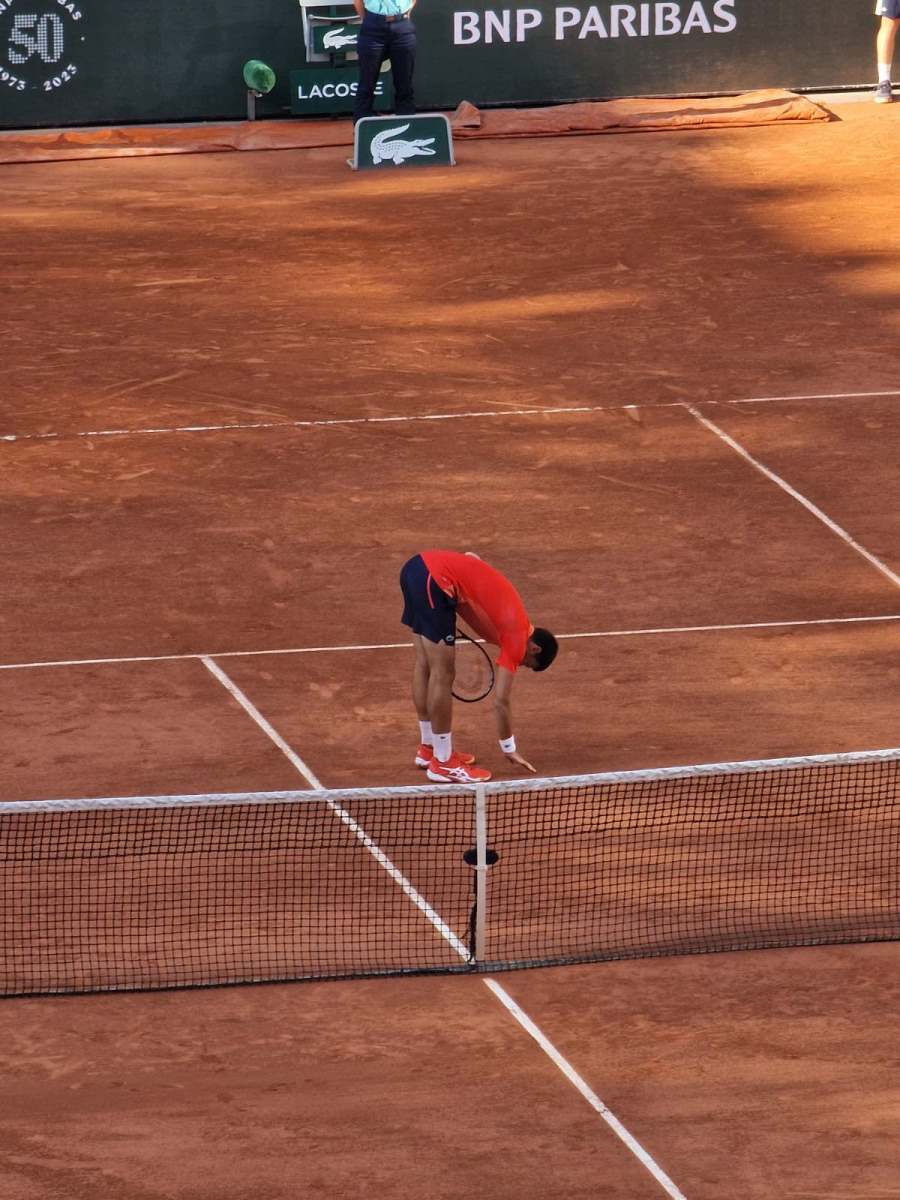 novak3.jpg