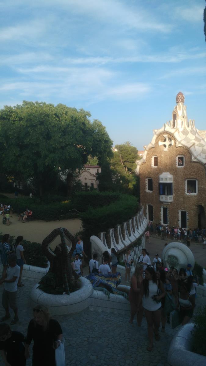 img-20170807-195705.jpg