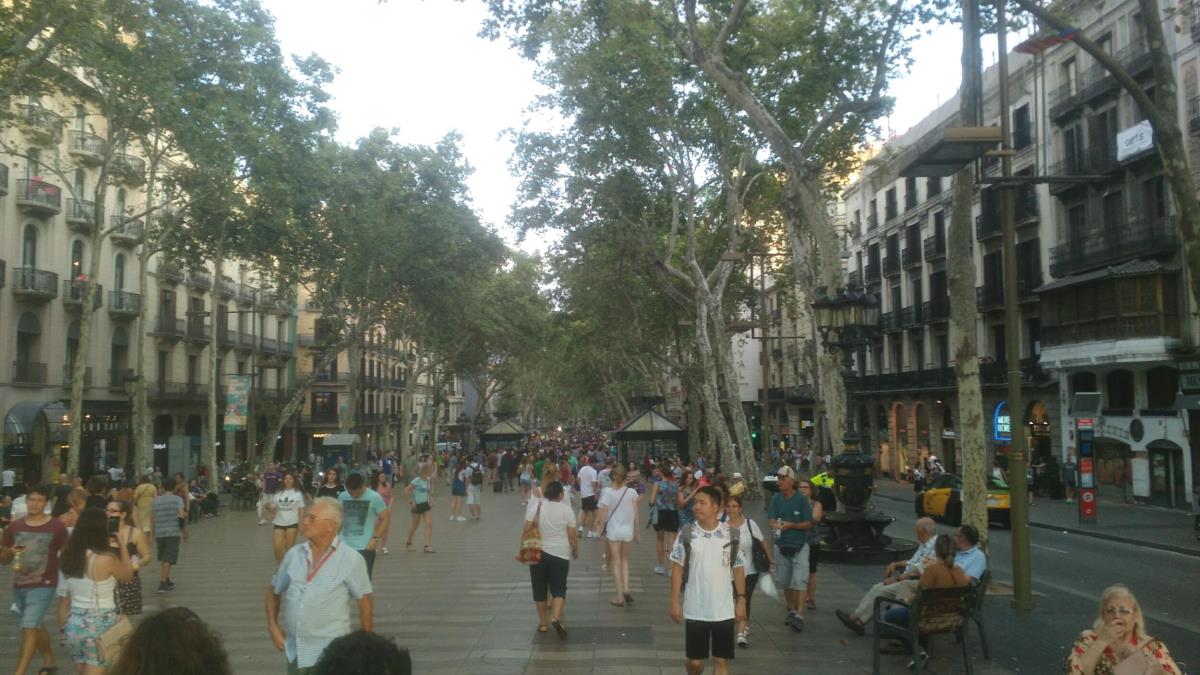 img-20170730-202421.jpg