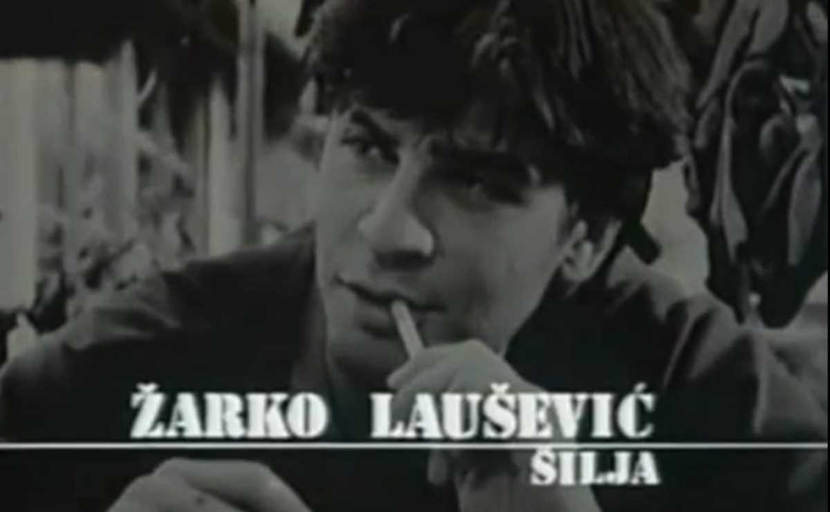 zarko-lausevic-u-seriji-sivi-dom-2.jpg
