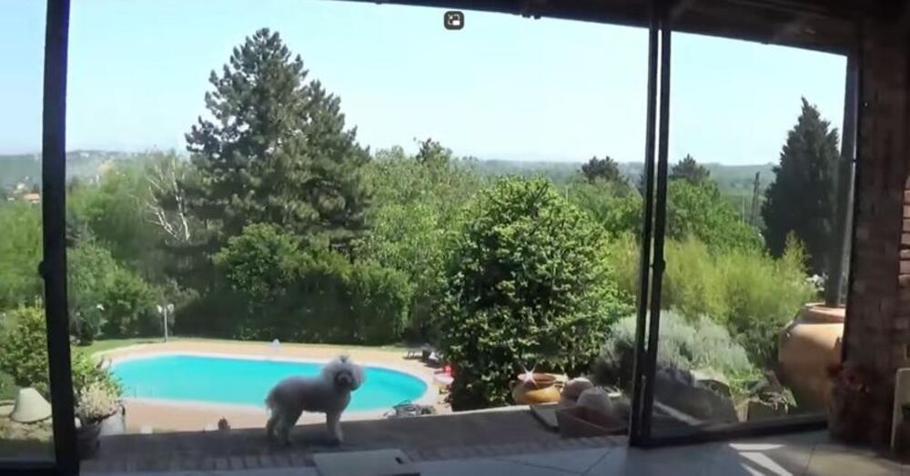 Evo šta je po obrazovanju Kristina Radenković