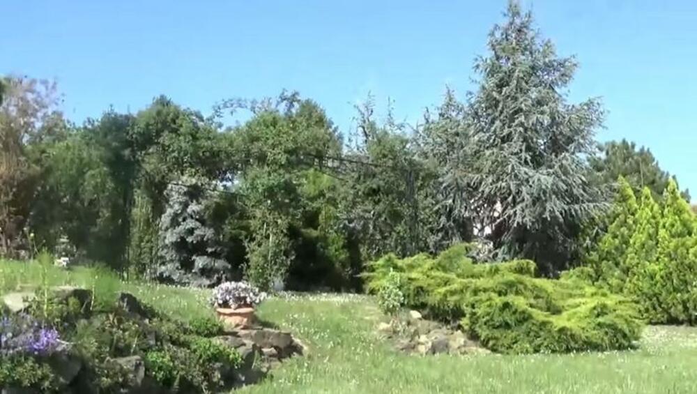 Evo šta je po obrazovanju Kristina Radenković