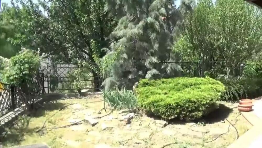 Evo šta je po obrazovanju Kristina Radenković