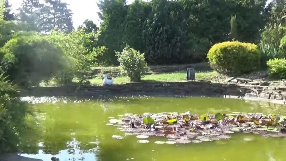 Evo šta je po obrazovanju Kristina Radenković