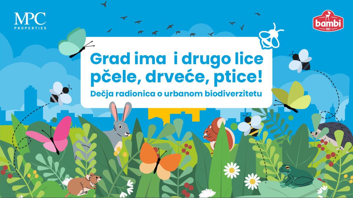 bambi-radionice-.jpg