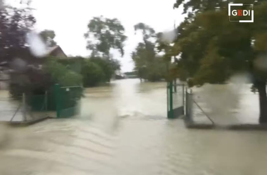 Screenshot 2024-09-19 110444.png