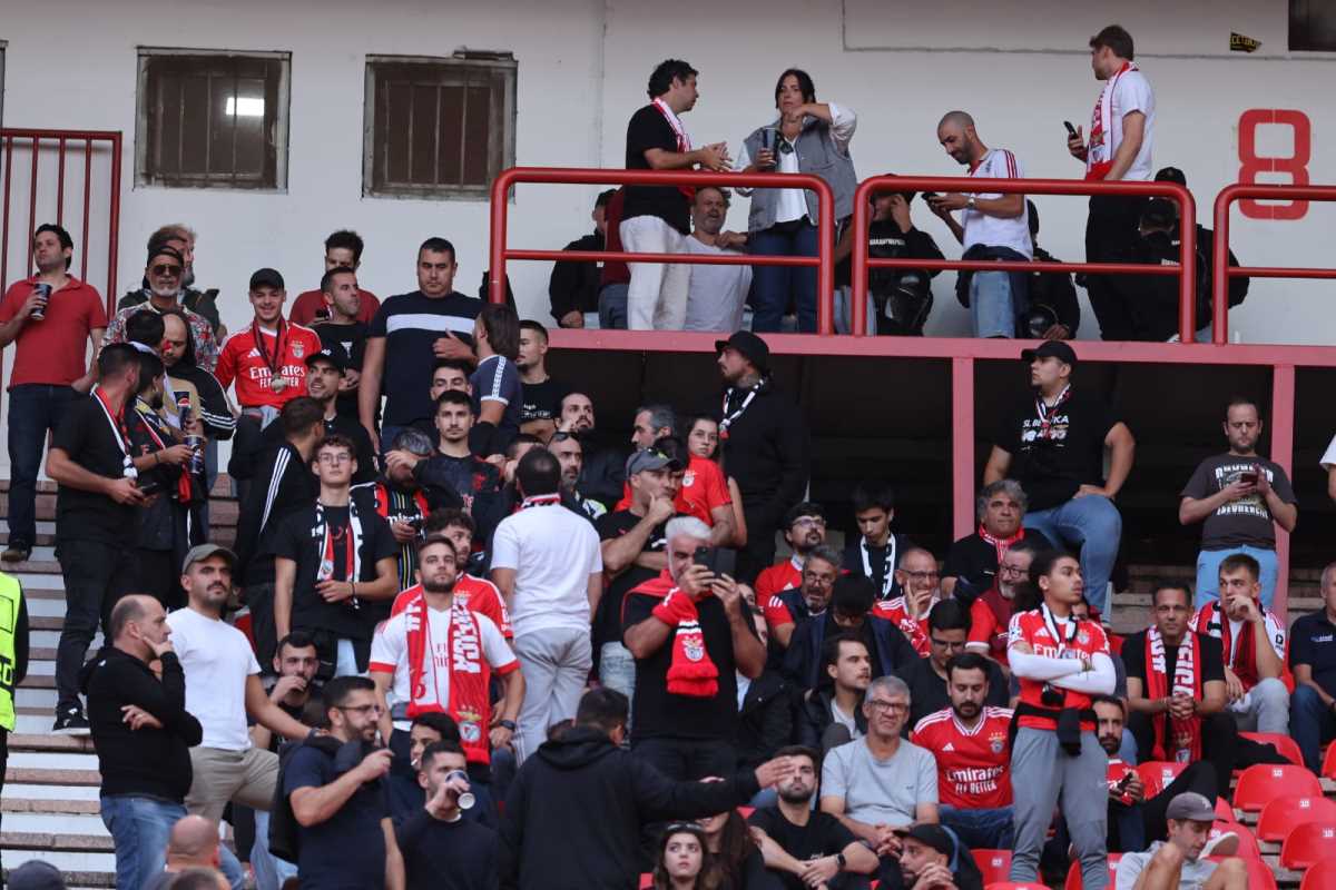 WhatsApp Image 2024-09-19 at 7.06.52 PM.jpeg