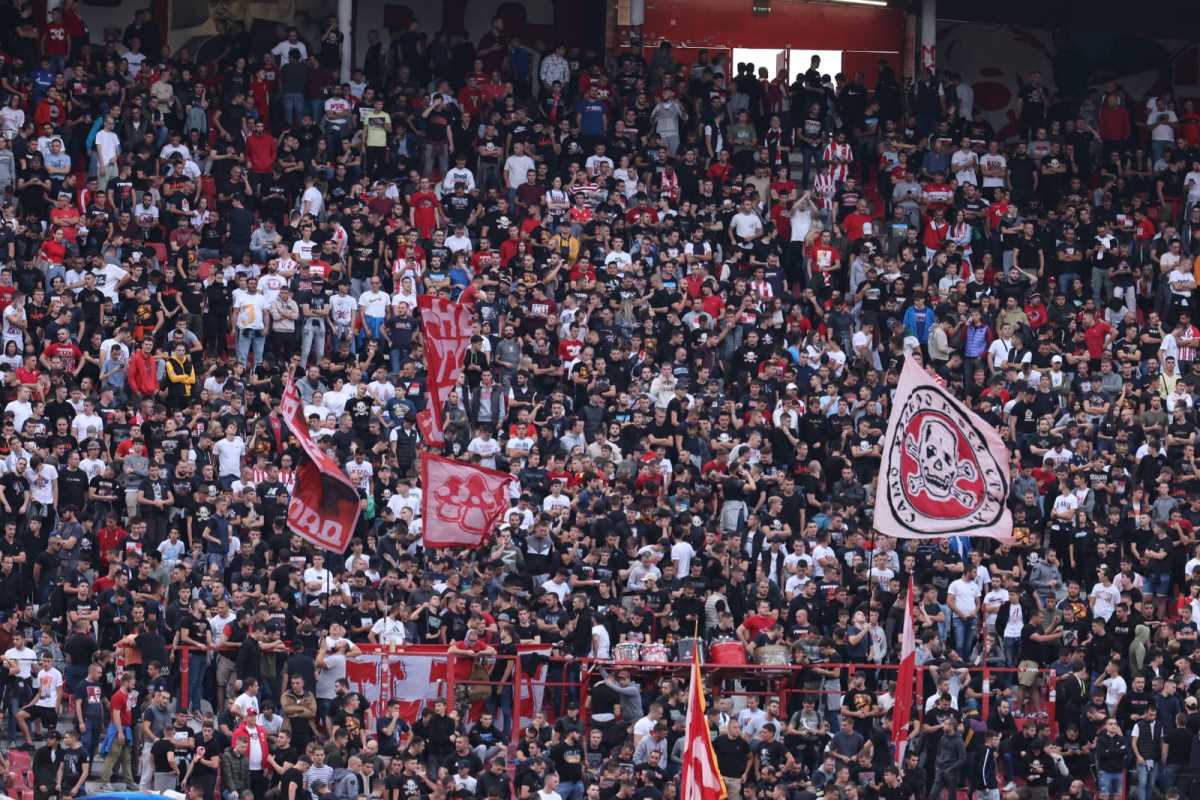 WhatsApp Image 2024-09-19 at 7.06.51 PM (2).jpeg