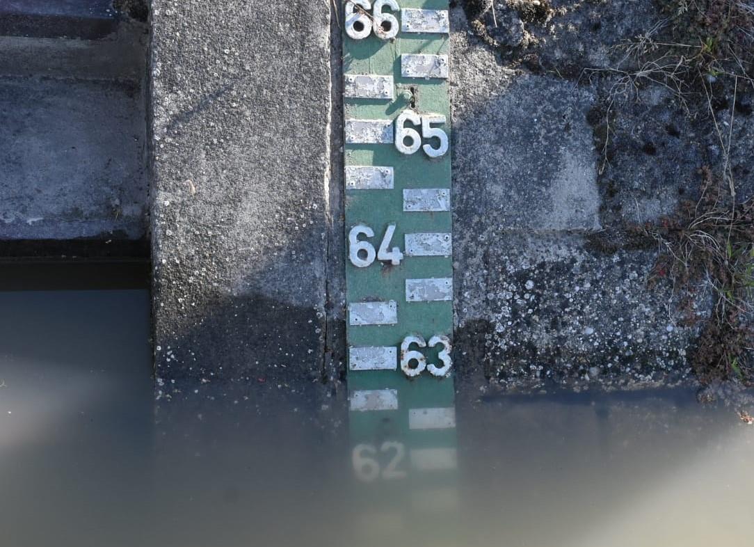 Danasnji nivo kod Apatina.jpg