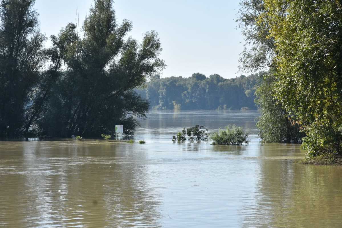 Dunav Apatin (2).jpg