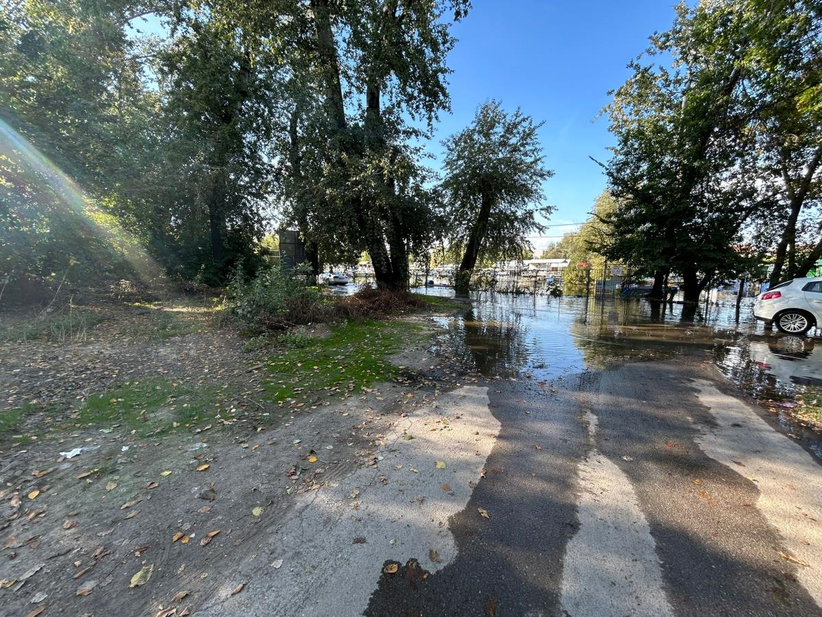 WhatsApp Image 2024-09-26 at 16.00.02_b7ca5053.jpg