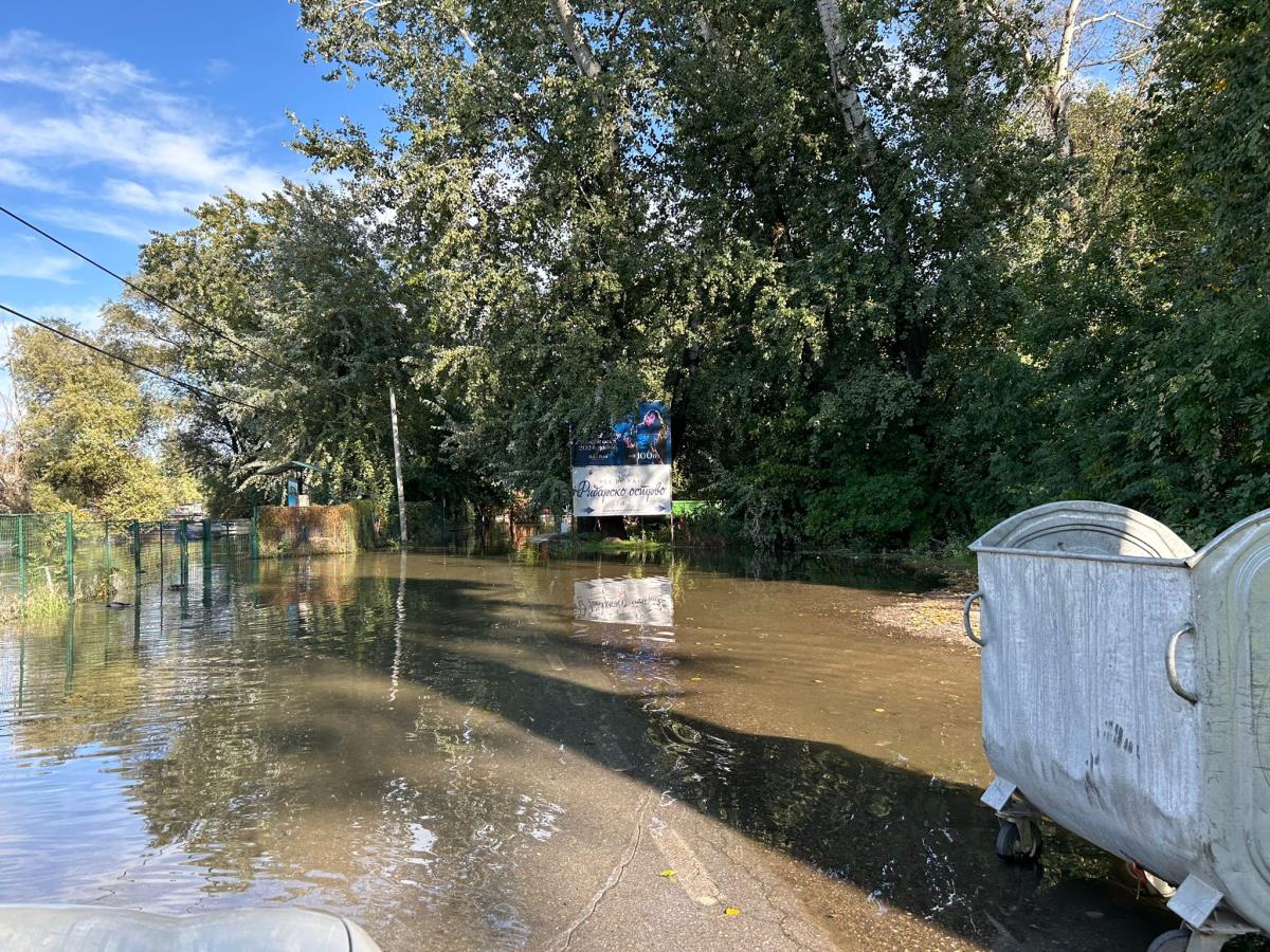 WhatsApp Image 2024-09-26 at 16.00.03_0c99100f.jpg