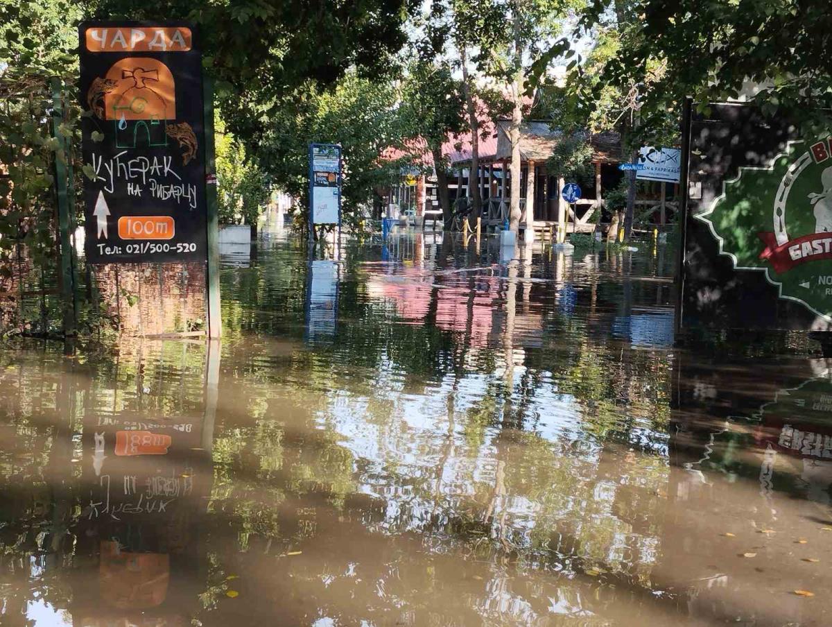 WhatsApp Image 2024-09-26 at 16.02.16_5d2eb500.jpg